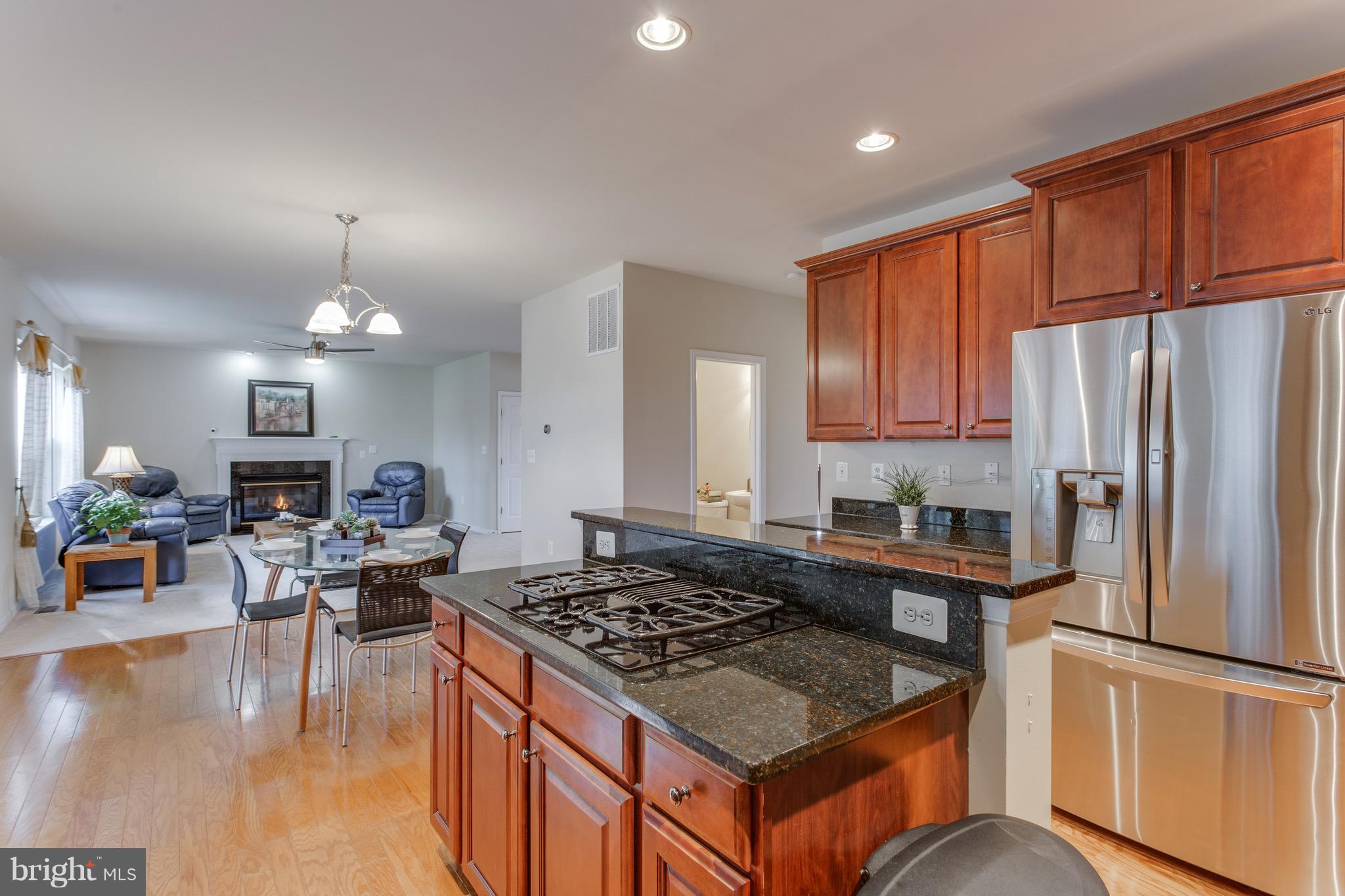 25868 Spring Farm Circle Chantilly, VA 20152 - Photo 9 of 30 Big Kitchen, Granite Counter Top and NEW SS APPL