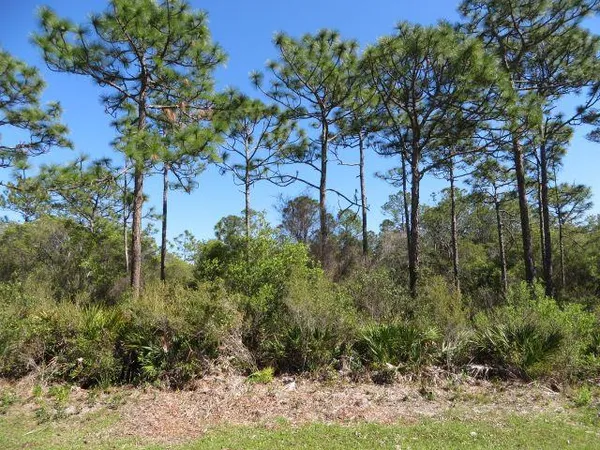 $129,700 | 332 Frank McKamey Way, Carrabelle, FL 32322