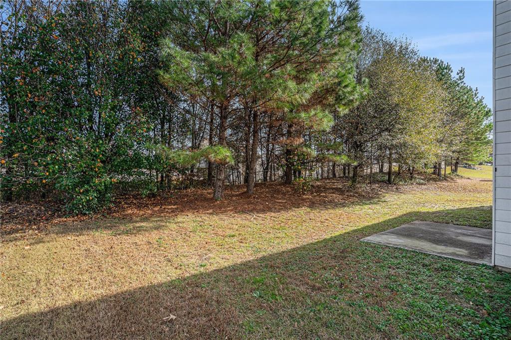 1492 St George Place Conyers, GA 30012 - Photo 27 of 27