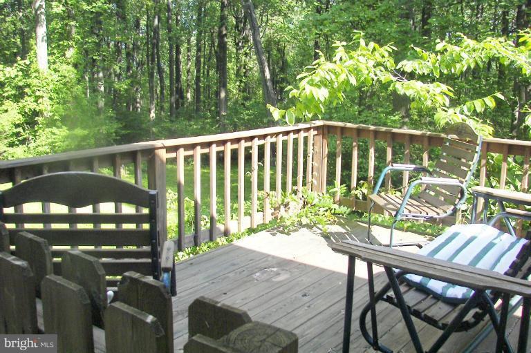 19718 Blue Ridge Mountain Road Bluemont, VA 20135 - Photo 3 of 23 Second View of Deck