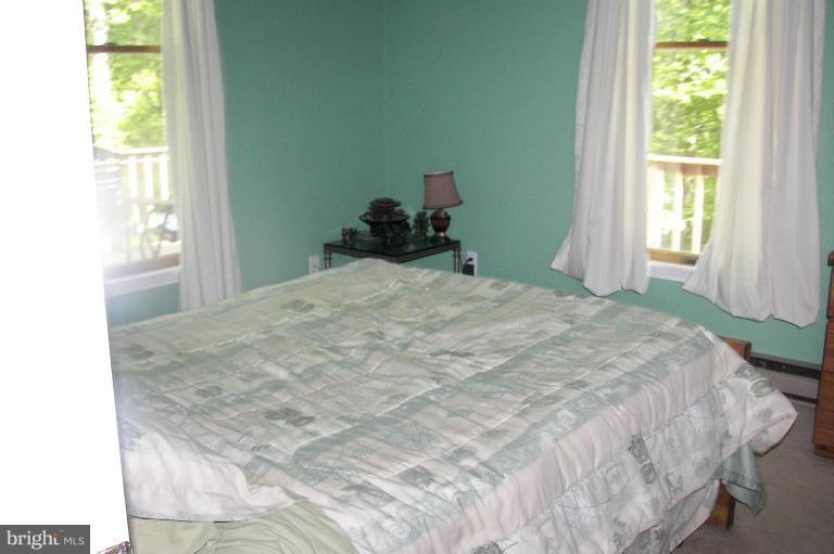 19718 Blue Ridge Mountain Road Bluemont, VA 20135 - Photo 4 of 23 Master Bedroom