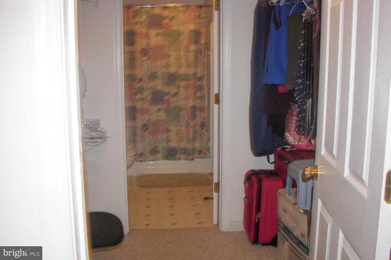 19718 Blue Ridge Mountain Road Bluemont, VA 20135 - Photo 8 of 23 Walk in Closet