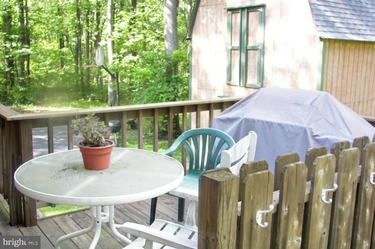 19718 Blue Ridge Mountain Road Bluemont, VA 20135 - Photo 10 of 23 Deck