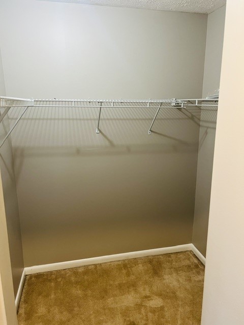 205 Lac Kine Drive Rochester, NY 14618 - Photo 13 of 38