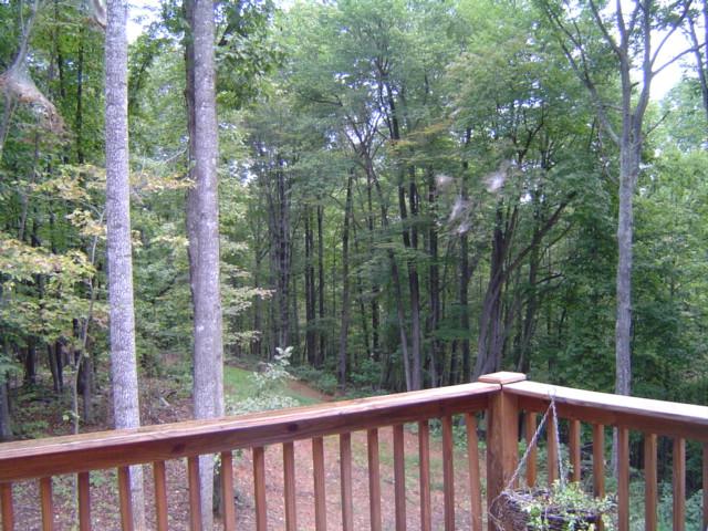 235 Deep Woods Road Hardy, VA 24101 - Photo 7 of 10 a view of a balcony with outdoor space