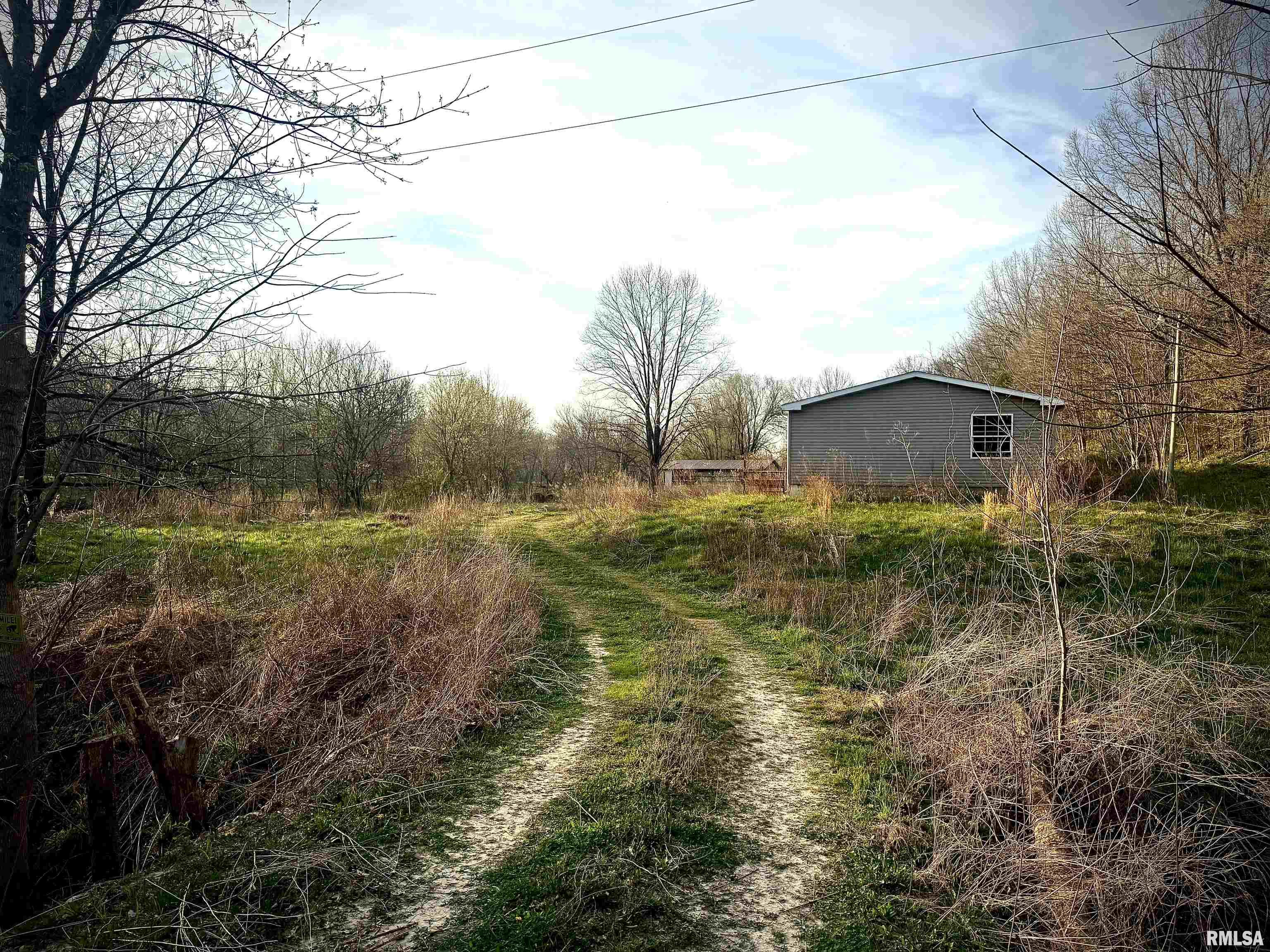29 Push Lane Jonesboro, IL 62952 - Photo 4 of 6