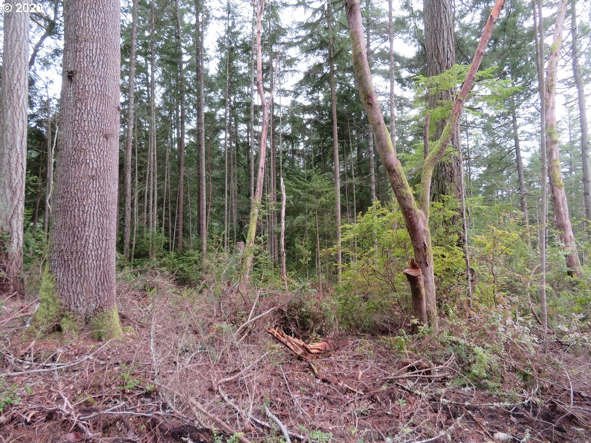 Olympic View Road Silverdale, WA 98383 - Photo 1 of 19 Gallery Image 1