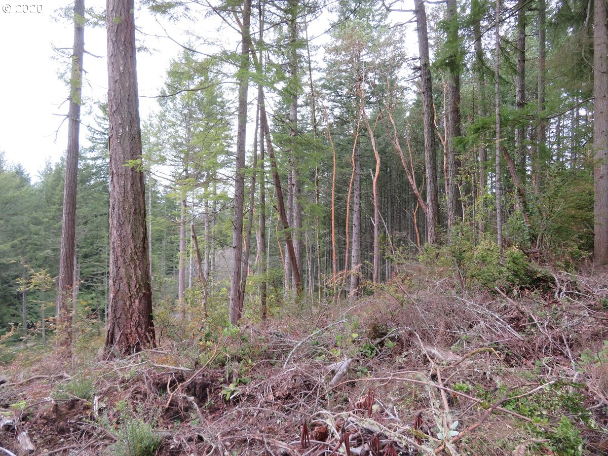 Olympic View Road Silverdale, WA 98383 - Photo 2 of 19 Gallery Image 2