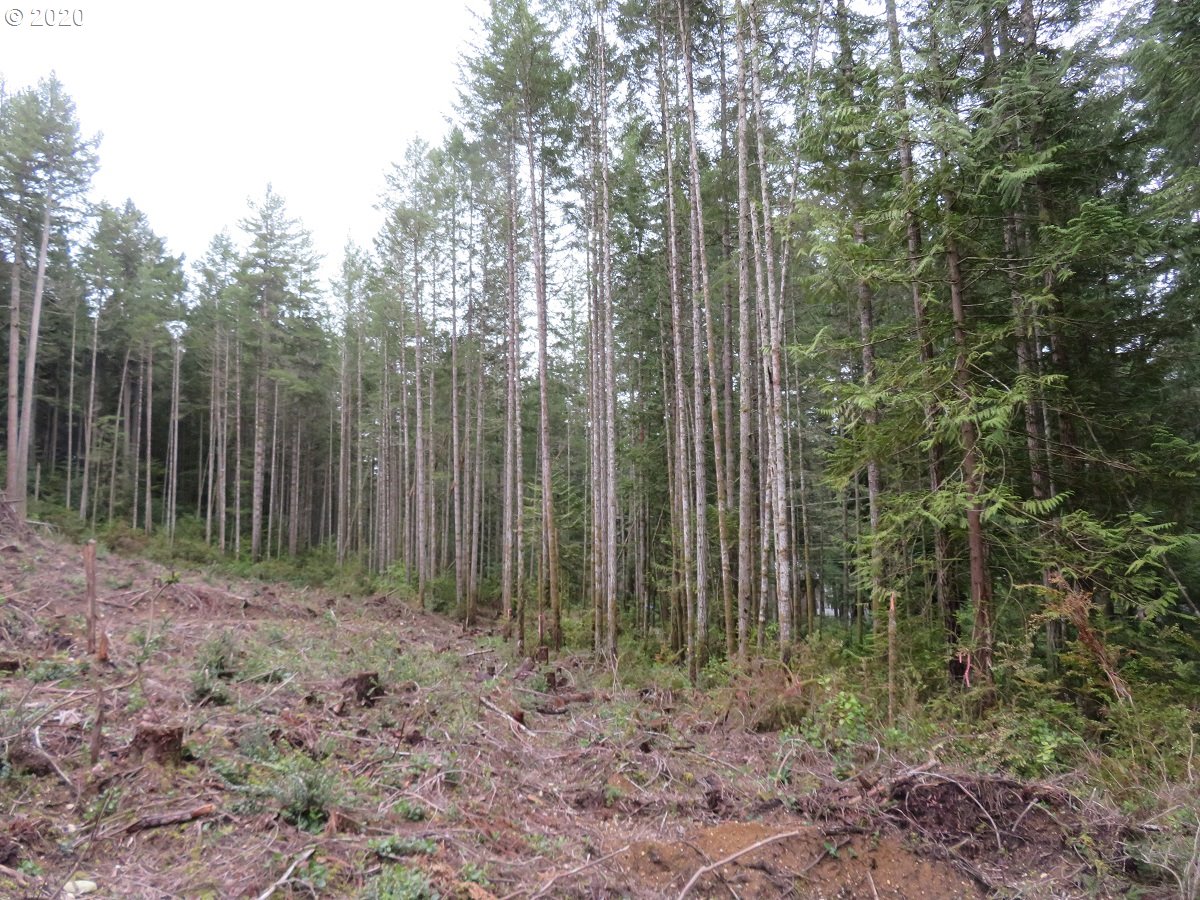 Olympic View Road Silverdale, WA 98383 - Photo 12 of 19 Gallery Image 12