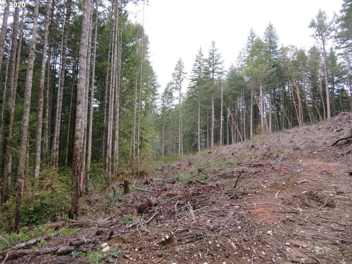 Olympic View Road Silverdale, WA 98383 - Photo 14 of 19 Gallery Image 14