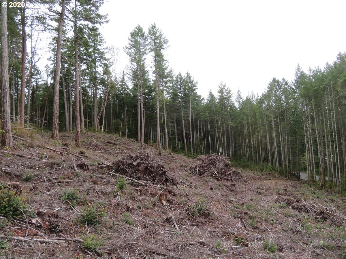 Olympic View Road Silverdale, WA 98383 - Photo 15 of 19 Gallery Image 15