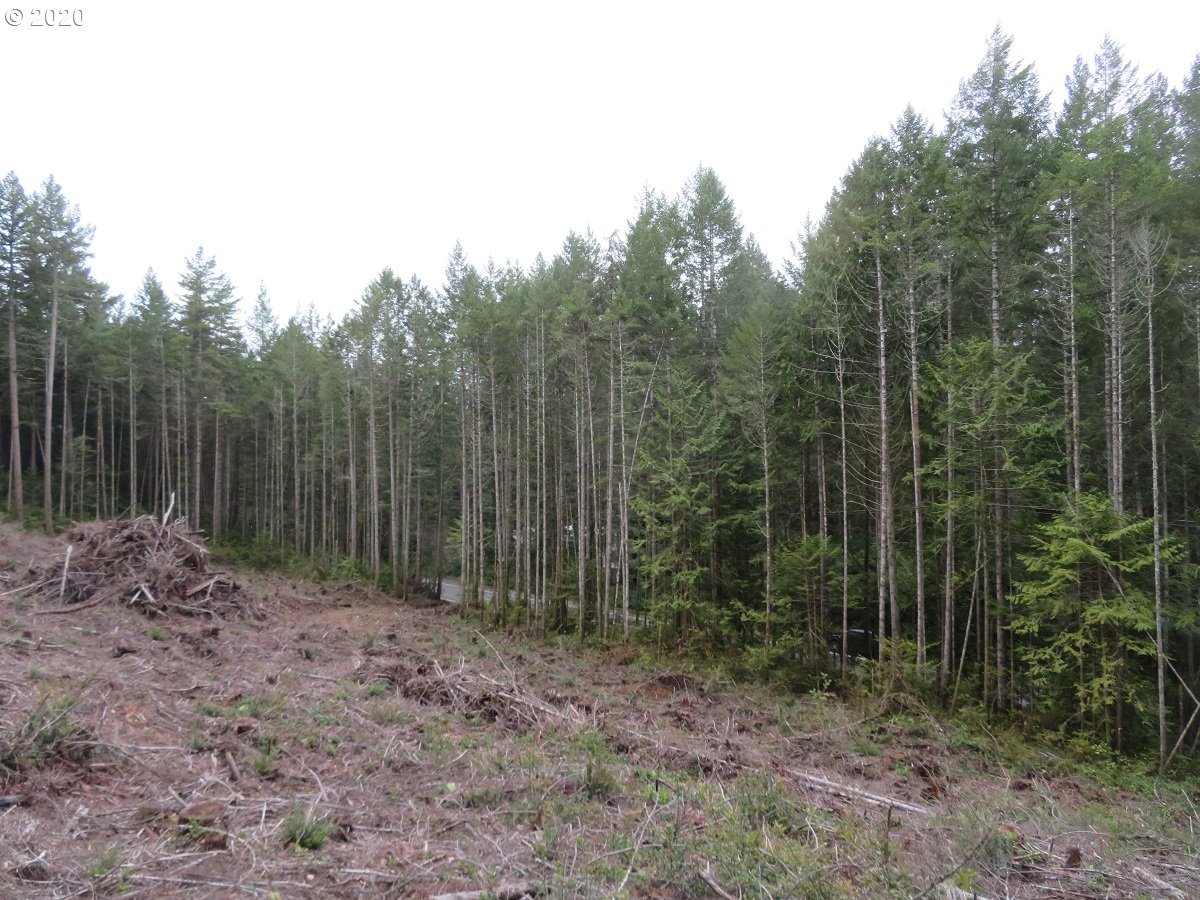 Olympic View Road Silverdale, WA 98383 - Photo 16 of 19 Gallery Image 16