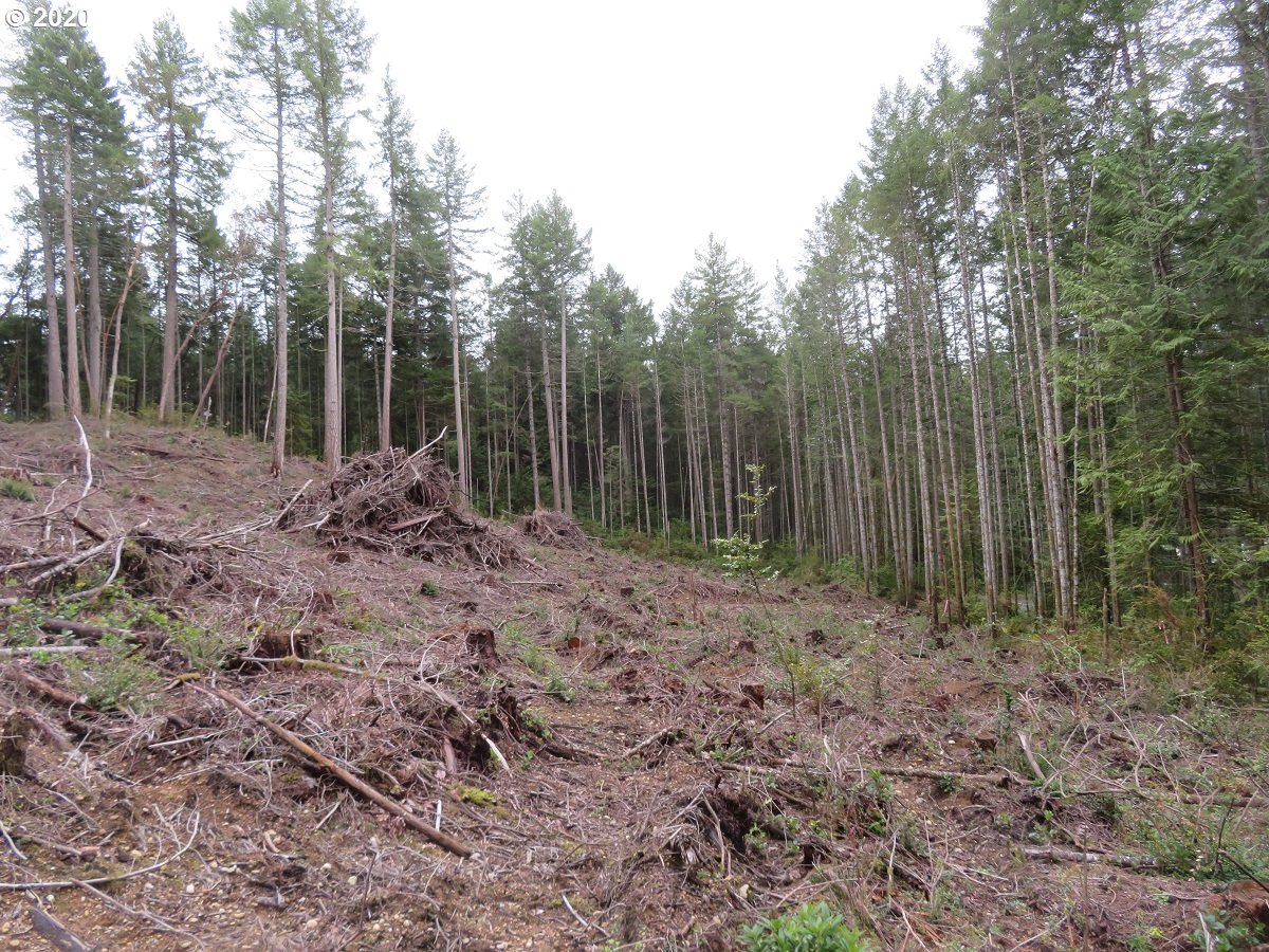 Olympic View Road Silverdale, WA 98383 - Photo 17 of 19 Gallery Image 17