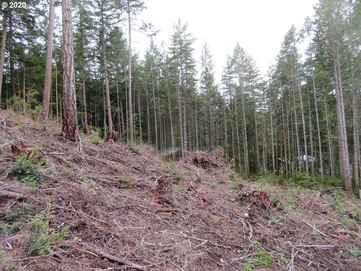 Olympic View Road Silverdale, WA 98383 - Photo 19 of 19 Gallery Image 19