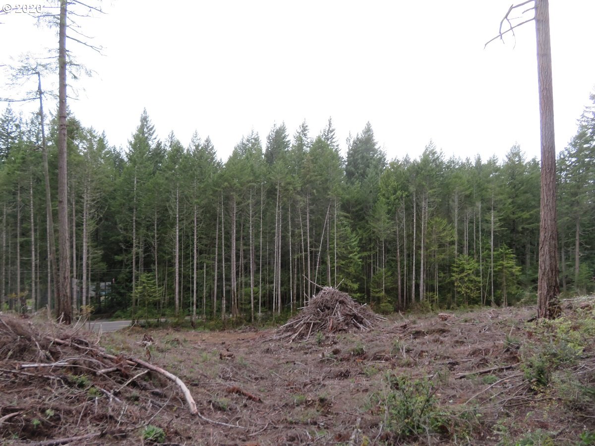 Olympic View Road Silverdale, WA 98383 - Photo 5 of 19 Gallery Image 5