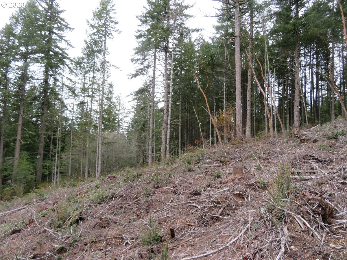 Olympic View Road Silverdale, WA 98383 - Photo 10 of 19 Gallery Image 10