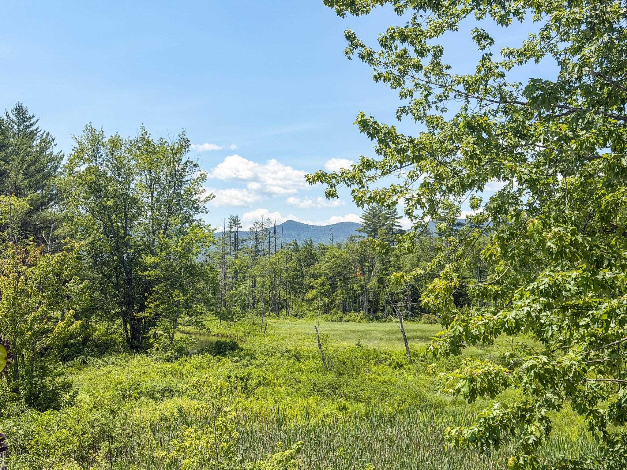 134 North Fryeburg Road Fryeburg, ME 04037 - Photo 4 of 60