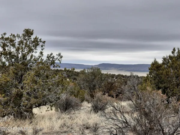 $7,500 | 57139 North Bridge Canyon Road, Seligman, AZ 86337