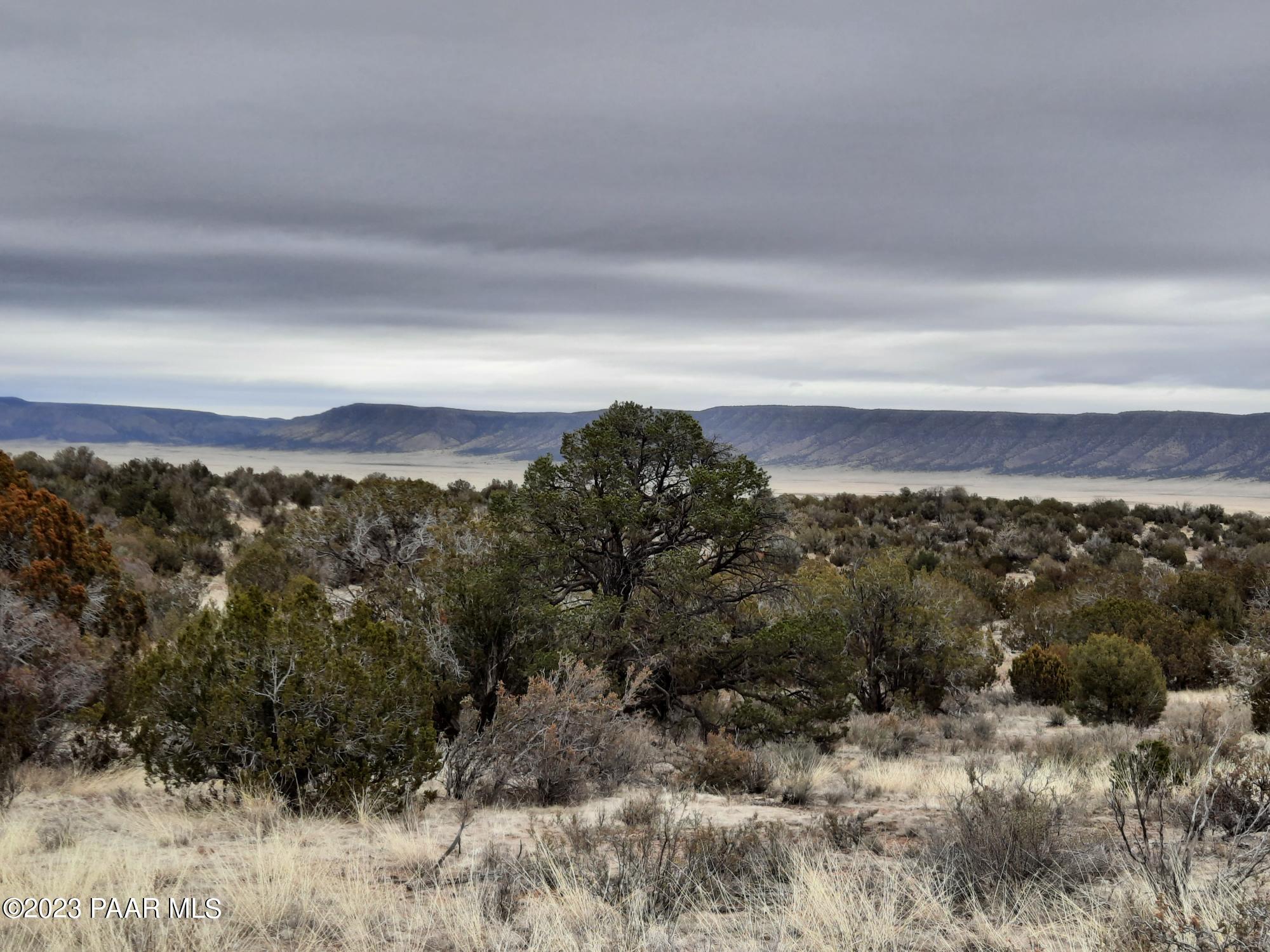 57139 North Bridge Canyon Road Seligman, AZ 86337 - Photo 2 of 8 cover
