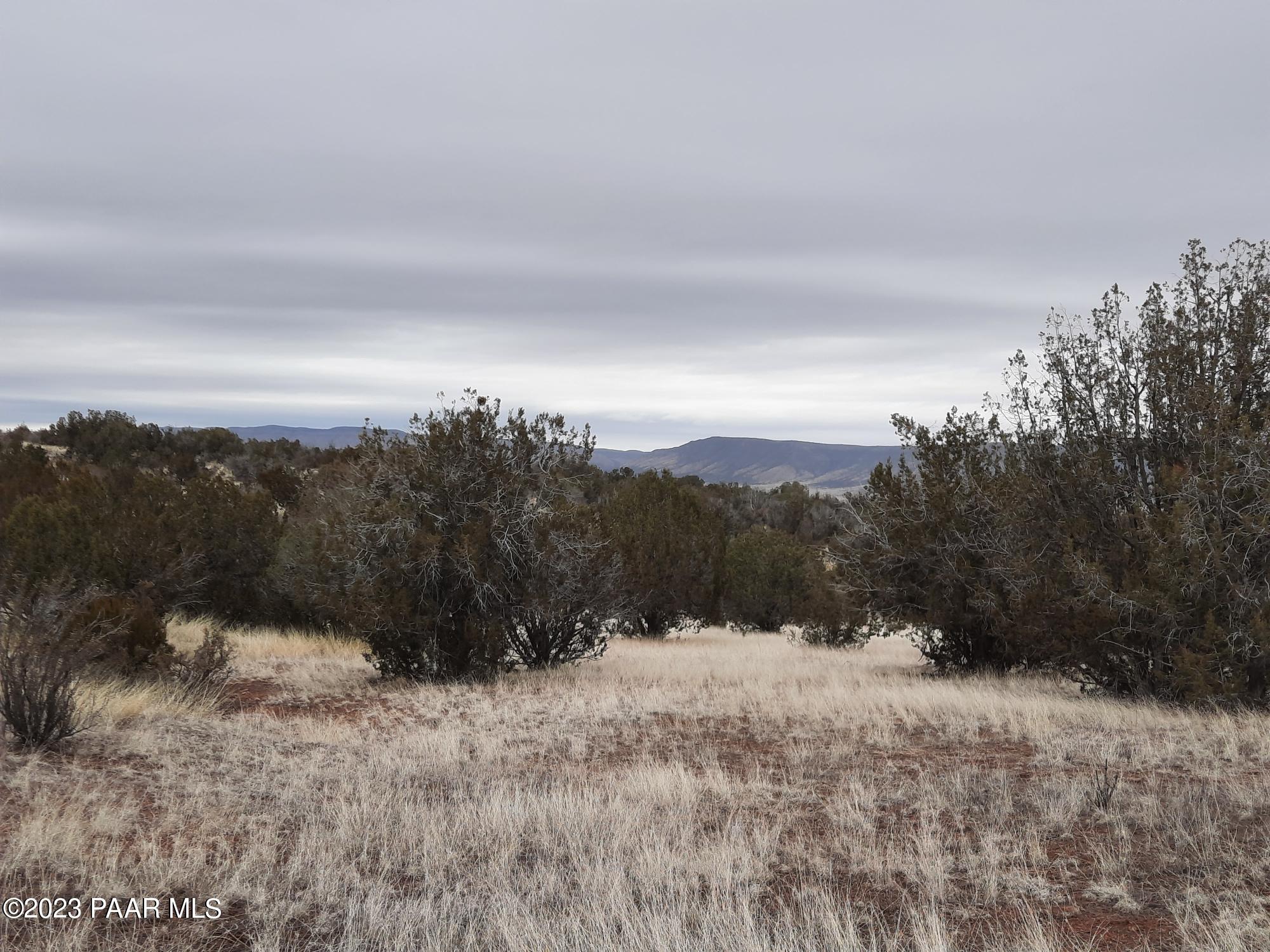 57139 North Bridge Canyon Road Seligman, AZ 86337 - Photo 3 of 8 20230310_112635