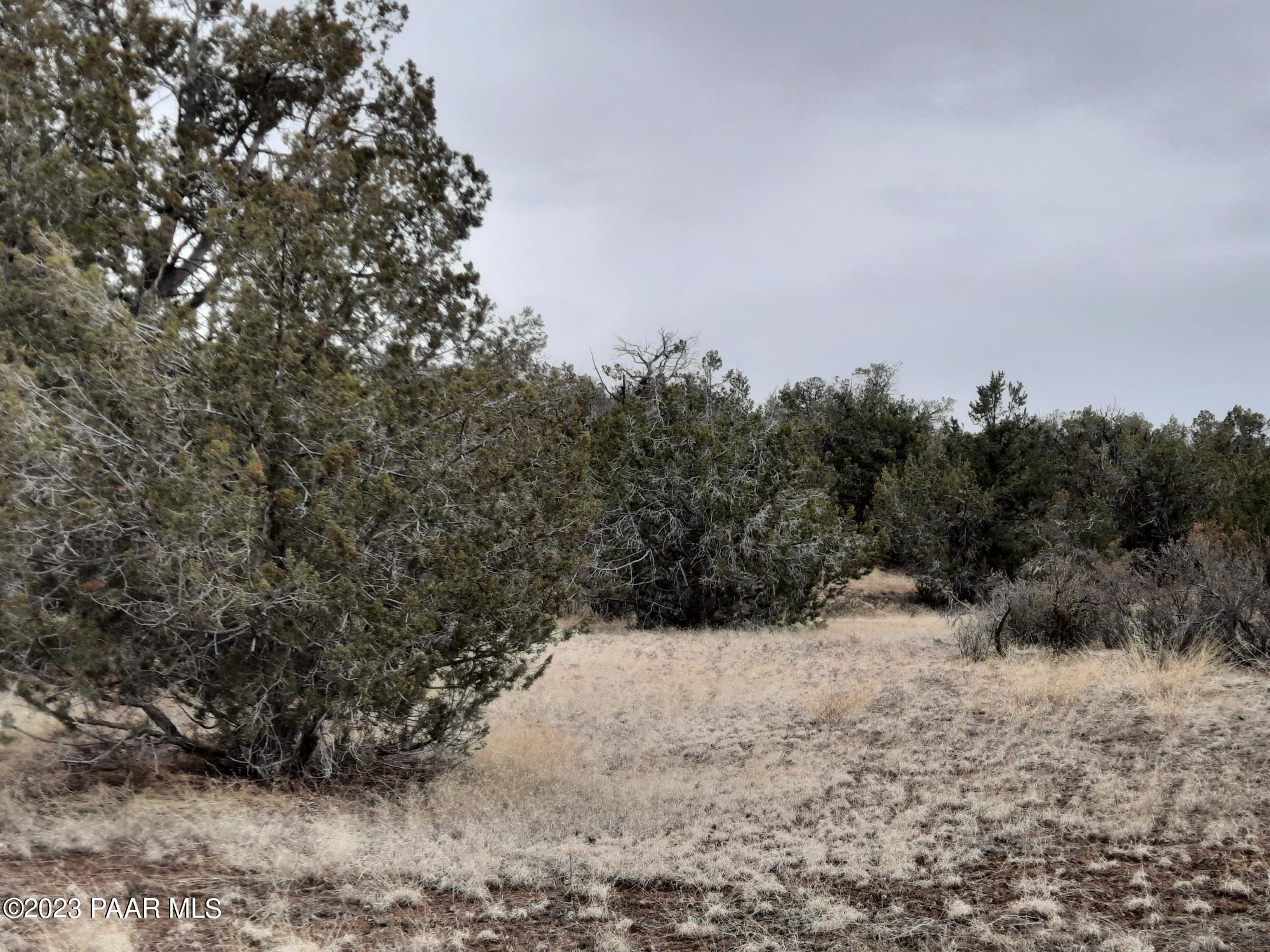 57139 North Bridge Canyon Road Seligman, AZ 86337 - Photo 4 of 8 20230310_112623