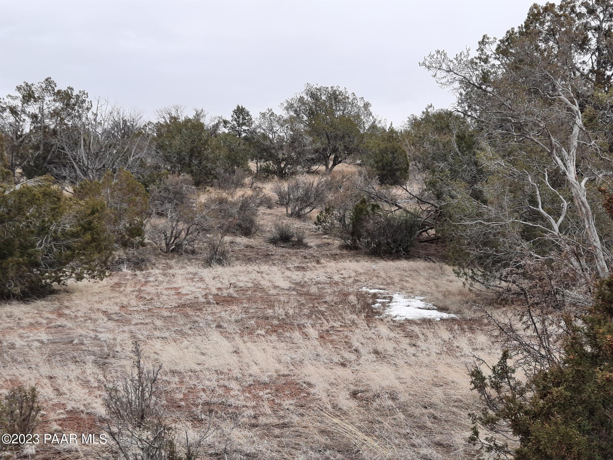 57139 North Bridge Canyon Road Seligman, AZ 86337 - Photo 5 of 8 20230310_112535