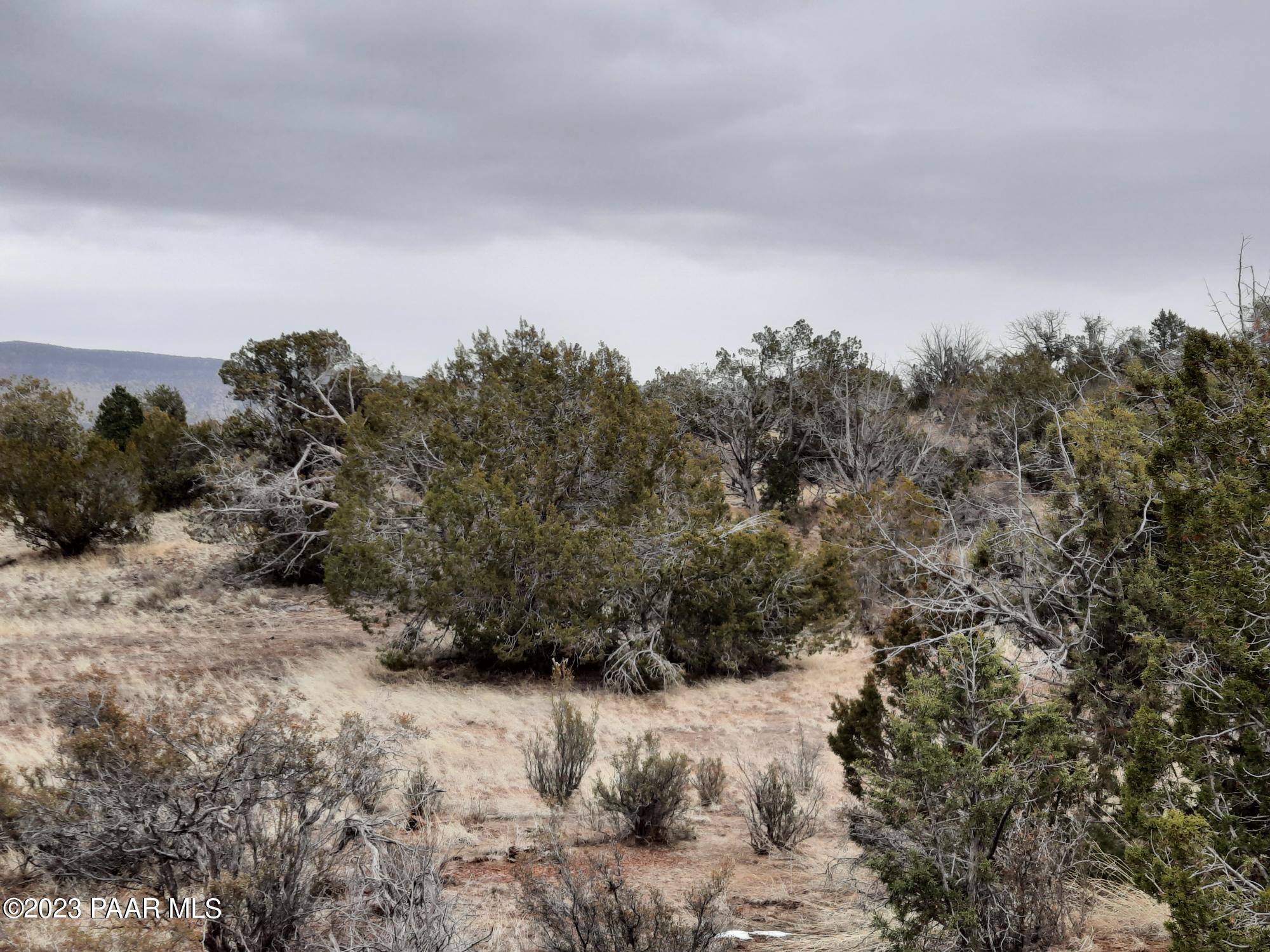 57139 North Bridge Canyon Road Seligman, AZ 86337 - Photo 6 of 8 20230310_112502