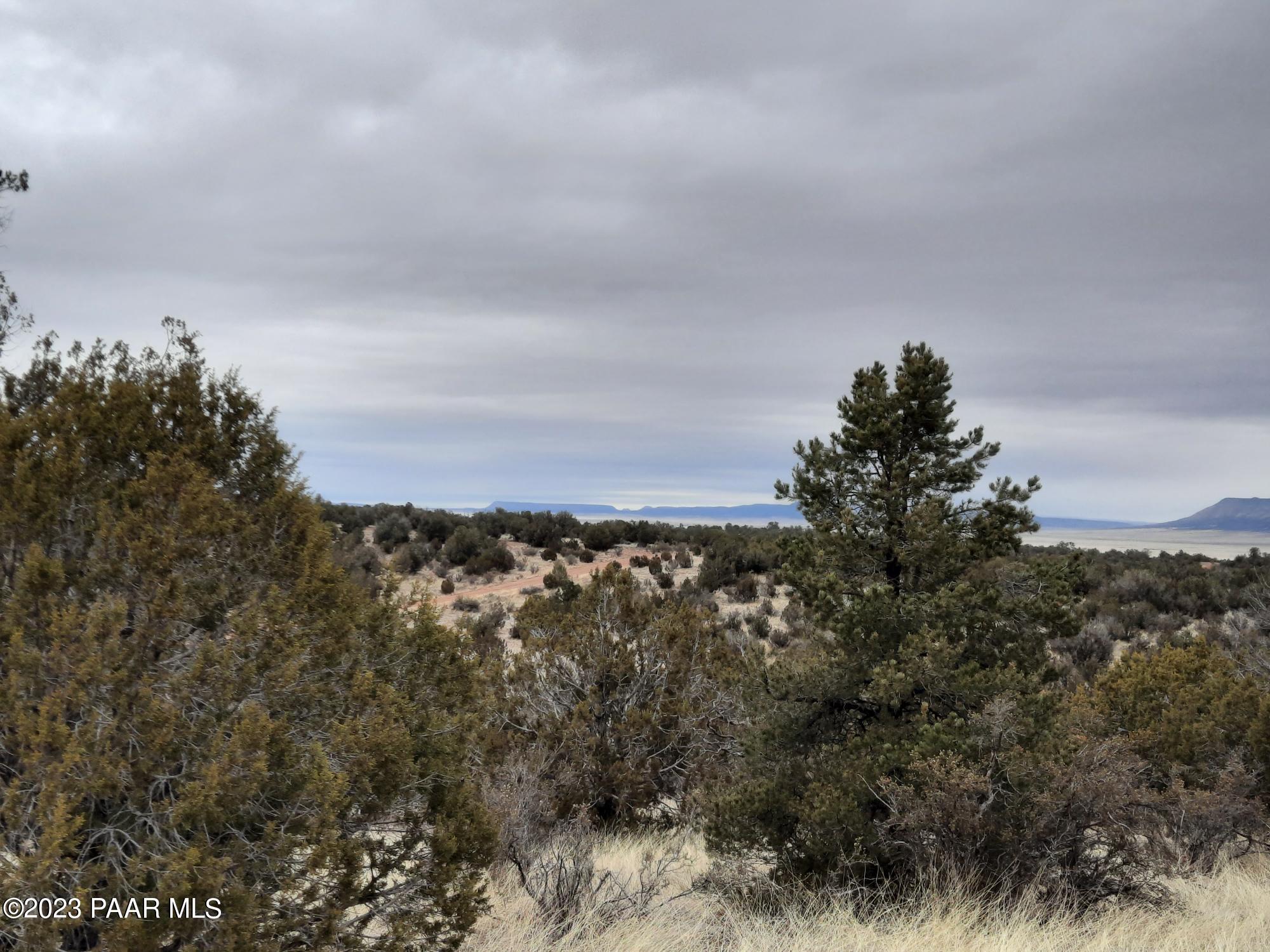 57139 North Bridge Canyon Road Seligman, AZ 86337 - Photo 7 of 8 20230310_113544