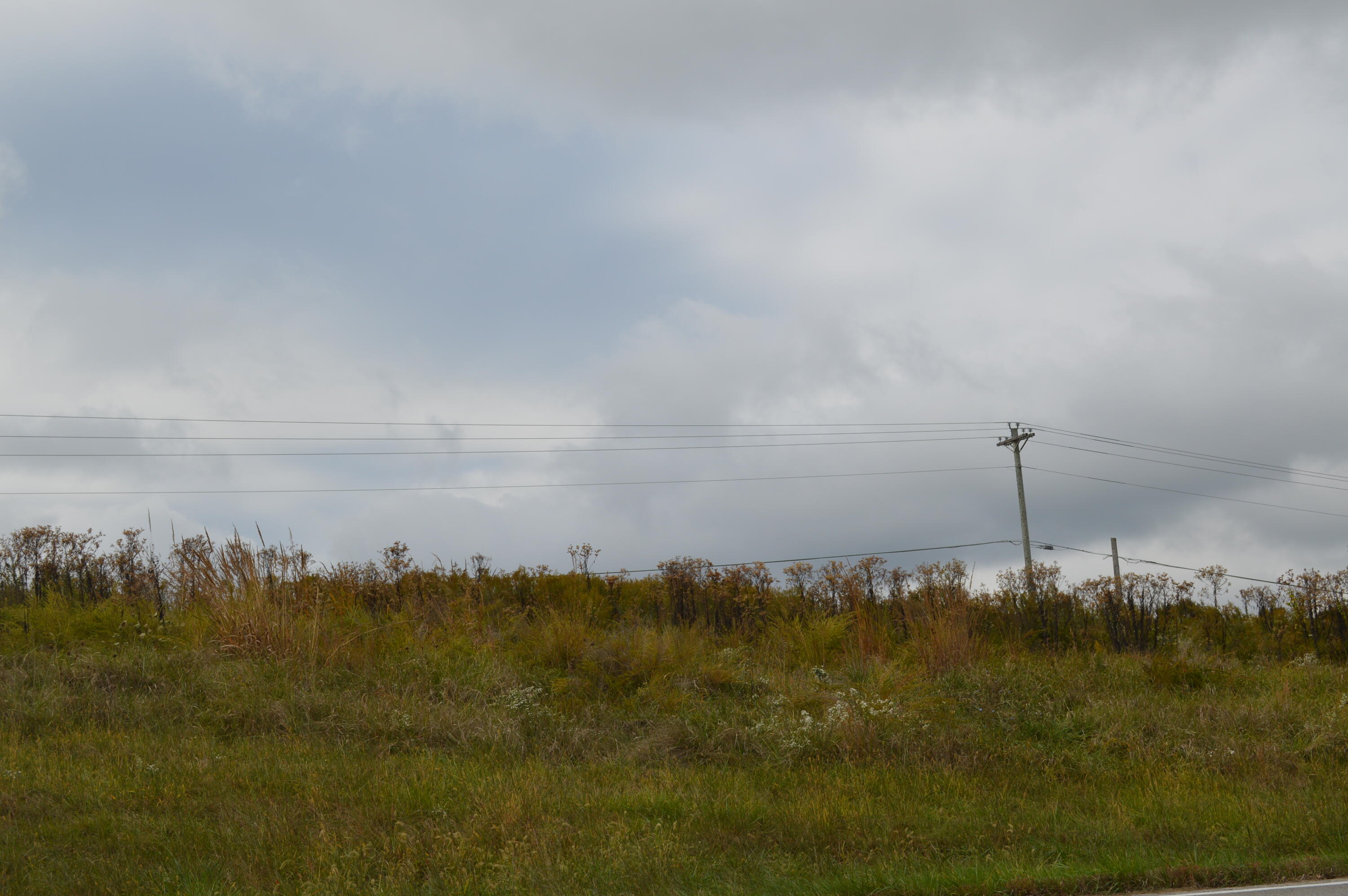 Lot # Georgetown Road Owenton, KY 40359 - Photo 6 of 13 DSC_0095