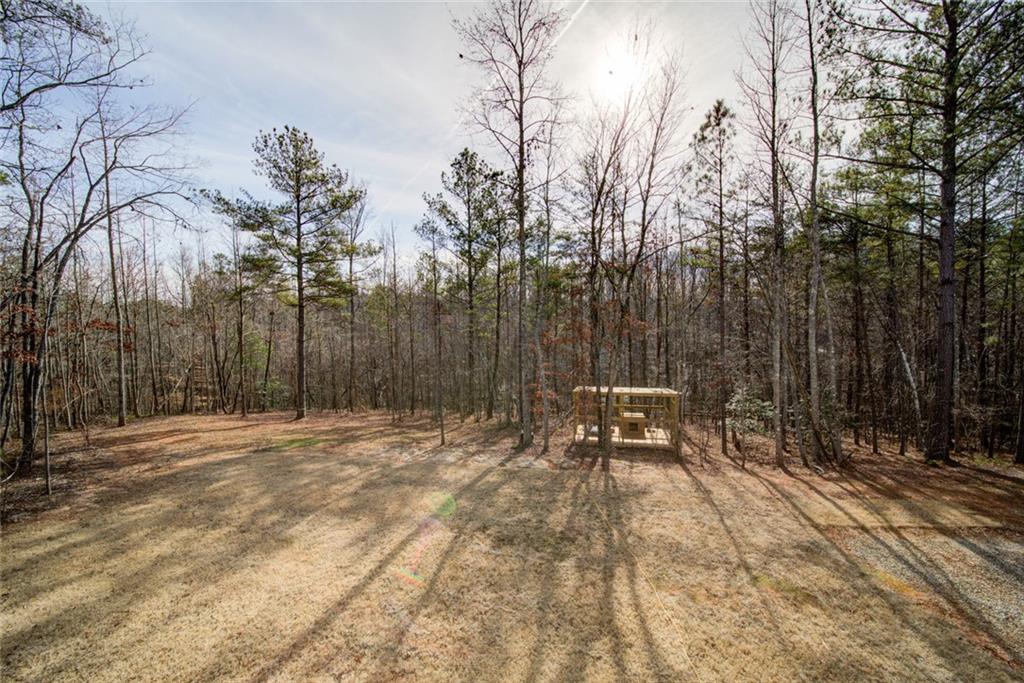 662 Cleve Wright Road Dawsonville, GA 30534 - Photo 42 of 49