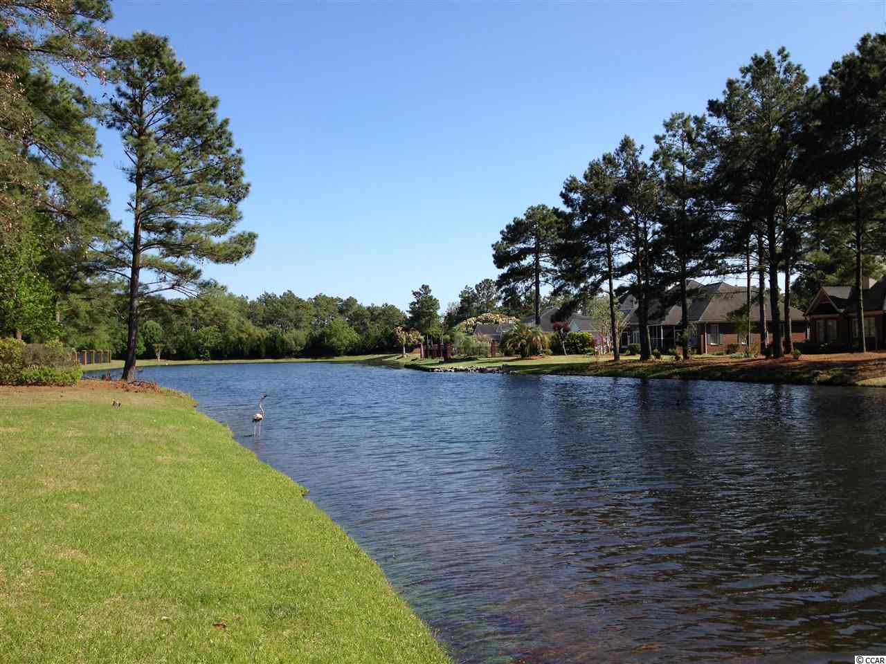 8254 Timber Ridge Road Conway, SC 29526 - Photo 22 of 22 Gallery Image 22