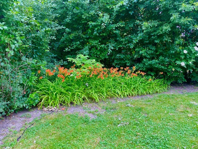 3420 Winnetka Road Glenview, IL 60026 - Photo 25 of 26 a view of a garden