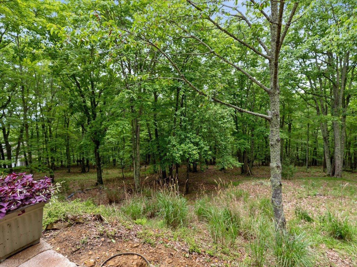4227 Pearman Road Blacksburg, VA 24060 - Photo 39 of 44 Gallery Image 39