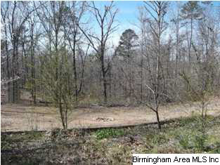 2409 Lakeside Drive McCalla, AL 35111 - Photo 29 of 32