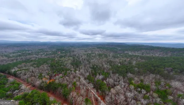 a view of city and green space