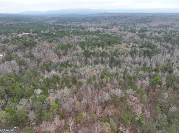 a view of a city with lush green forest