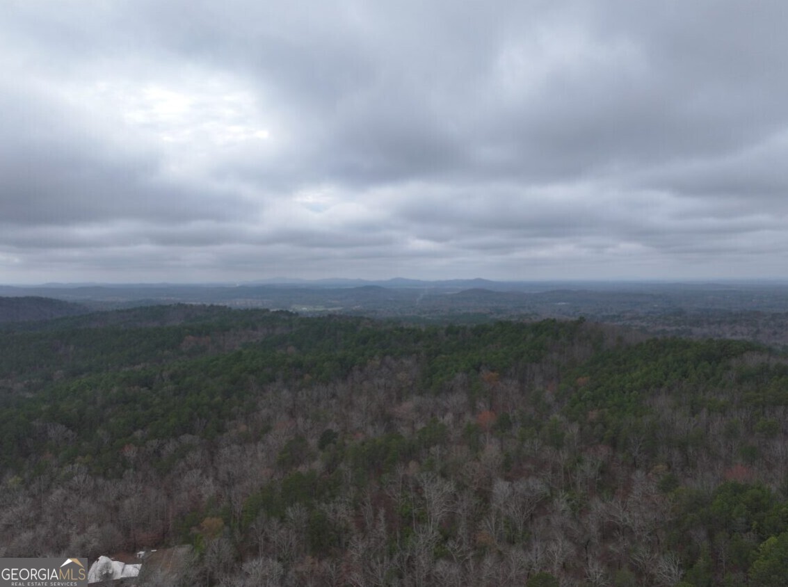 0 Cheaha Road, Unit LOT 6 Munford, AL 36268 - Photo 12 of 37 a view of a city with lush green forest