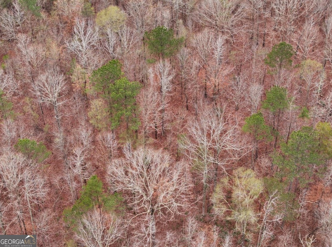 0 Cheaha Road, Unit LOT 6 Munford, AL 36268 - Photo 13 of 37 a backyard of a house