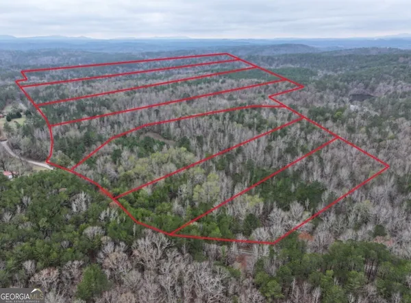 a view of a backyard with plants and large trees
