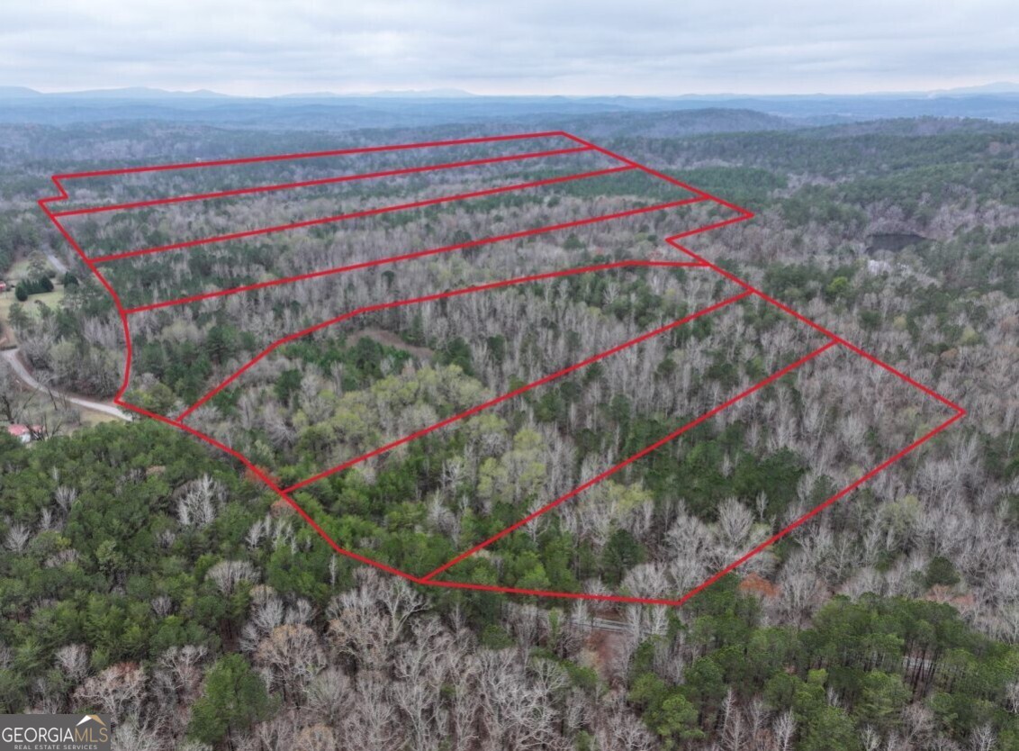 0 Cheaha Road, Unit LOT 6 Munford, AL 36268 - Photo 14 of 37 a view of a garden