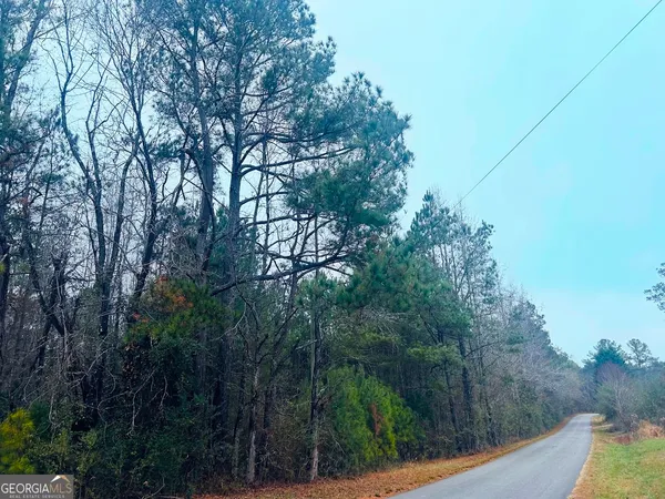 a view of a forest with trees