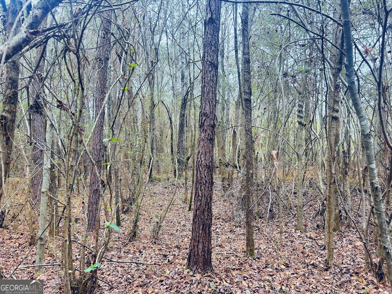 0 Cheaha Road, Unit LOT 6 Munford, AL 36268 - Photo 22 of 37 a view of a forest with trees