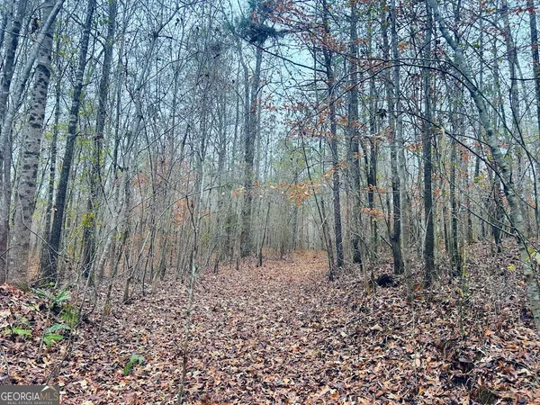 a view of a backyard with large trees