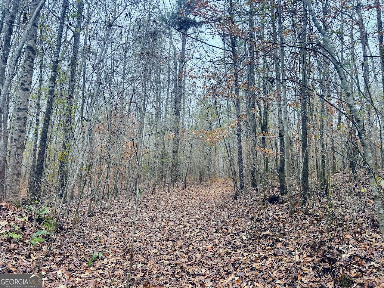 0 Cheaha Road, Unit LOT 6 Munford, AL 36268 - Photo 25 of 37 a backyard of a house with lots of green space