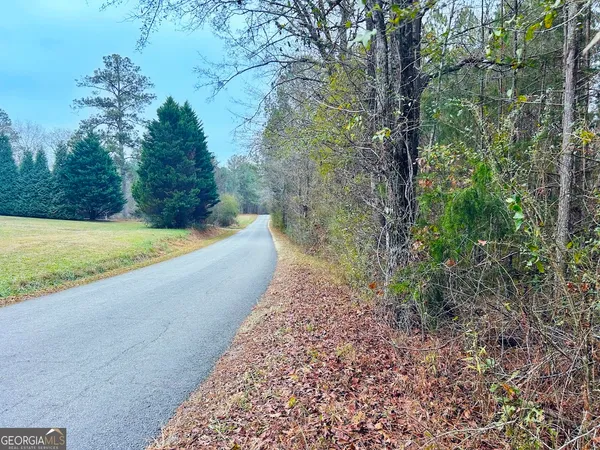 a backyard of a house with lots of trees