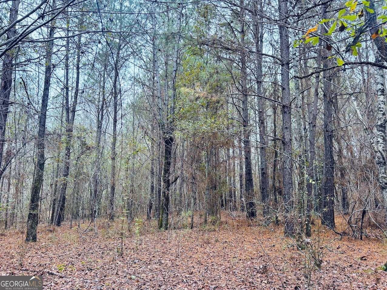 0 Cheaha Road, Unit LOT 6 Munford, AL 36268 - Photo 29 of 37 a backyard of a house with lots of trees