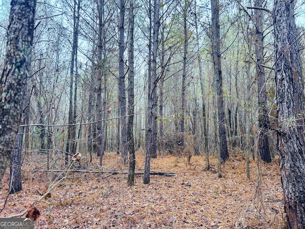 0 Cheaha Road, Unit LOT 6 Munford, AL 36268 - Photo 30 of 37 a backyard of a house with lots of tall trees