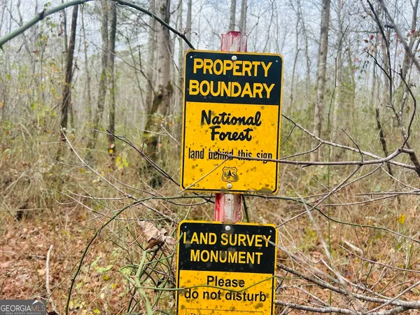 a view of a field with trees in background