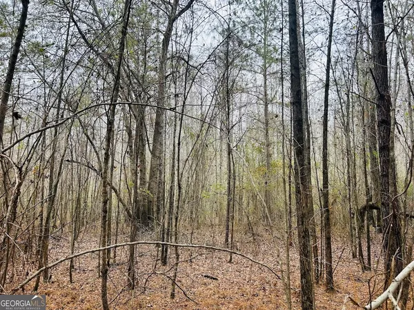 a backyard of a building