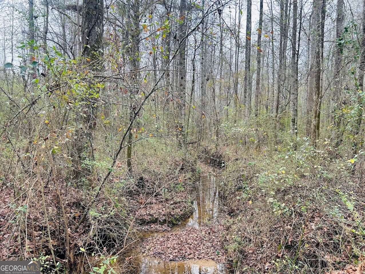 0 Cheaha Road, Unit LOT 6 Munford, AL 36268 - Photo 32 of 37 a yard with lots of tall trees